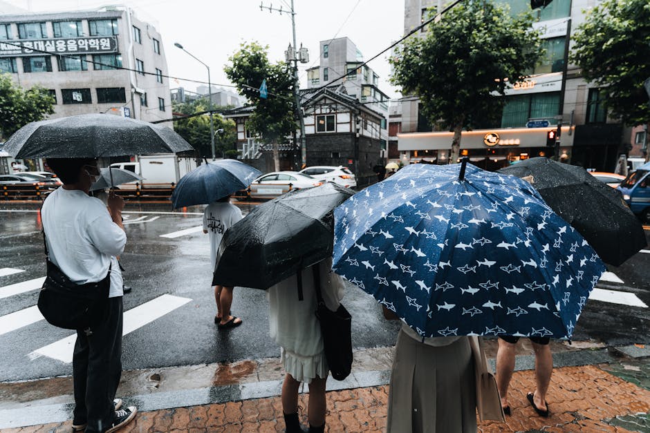 개인파산 비용 완벽 정리: 절차와 주의사항 가이드