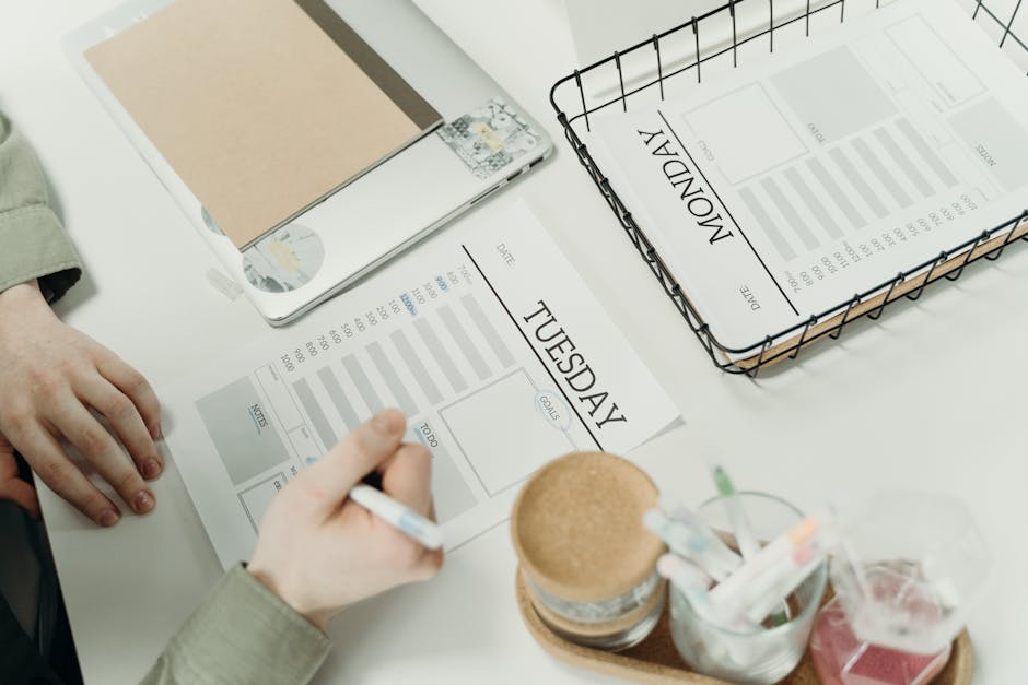 아파트 분양 일정